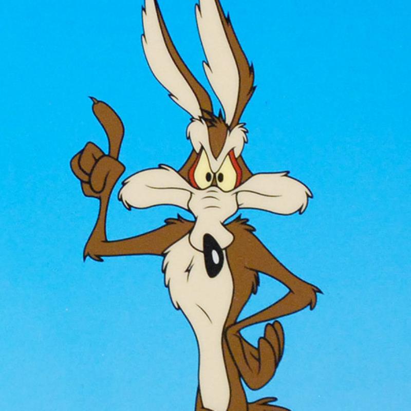 Wile E Coyote Animation Looney Tunes Gallery 137433